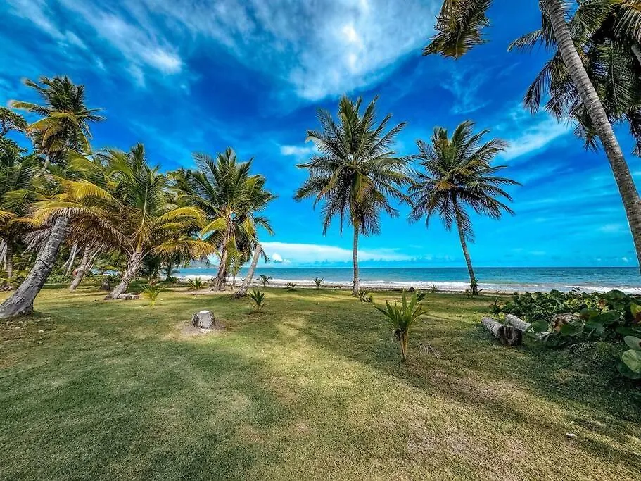 Lägenhet Casa Arroyo Oceanfront Apt In Campomar Resort Puerto Rico