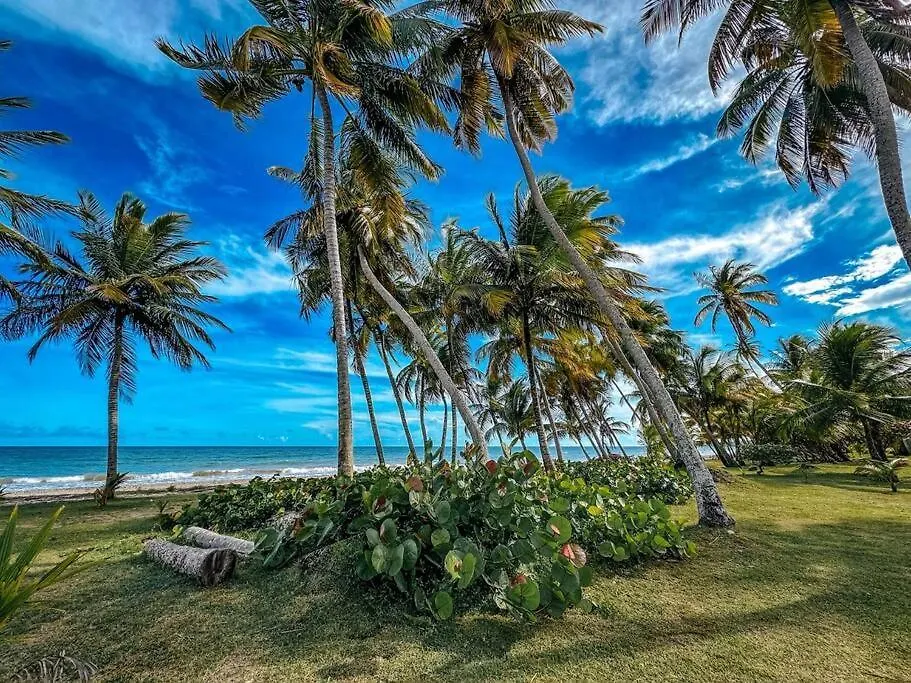 Casa Arroyo Oceanfront Apt In Campomar Resort 0*,  Puerto Rico